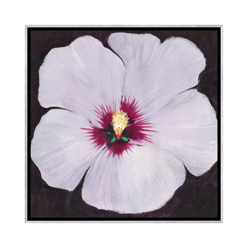 «Hibiscus Portrait II» par Tim Ottoole - reproduction d'art, H 26 po x l 26 po x P 1,5 po, Toile avec cadre argenté