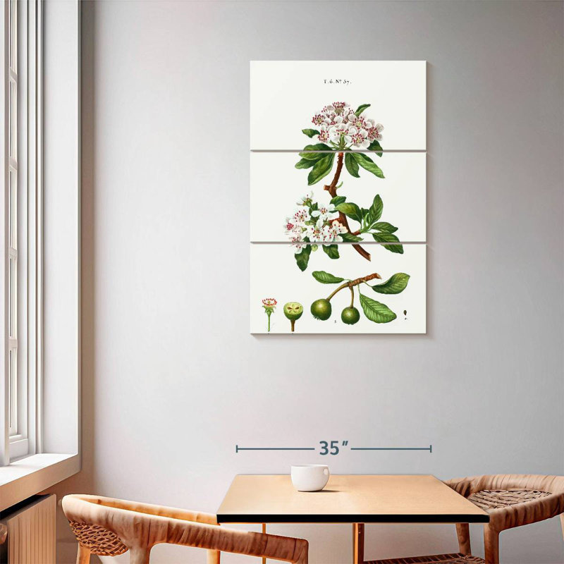 Poire à feuilles d'amande Keiri