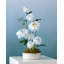 Ensemble de dahlia 17 po-86903292