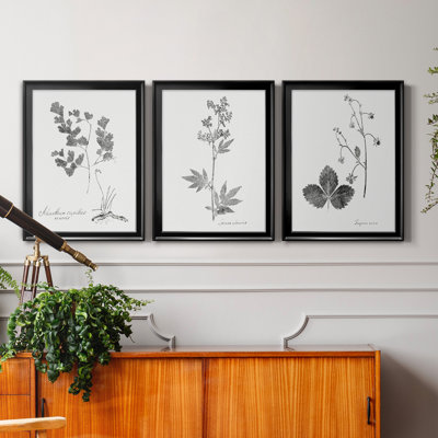 «Botanical Imprint I», ensemble de 3 peintures sur toile encadrées