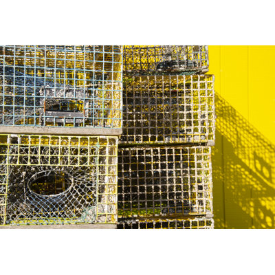Coastal Trappings IV by Laura Denardo - Photograph