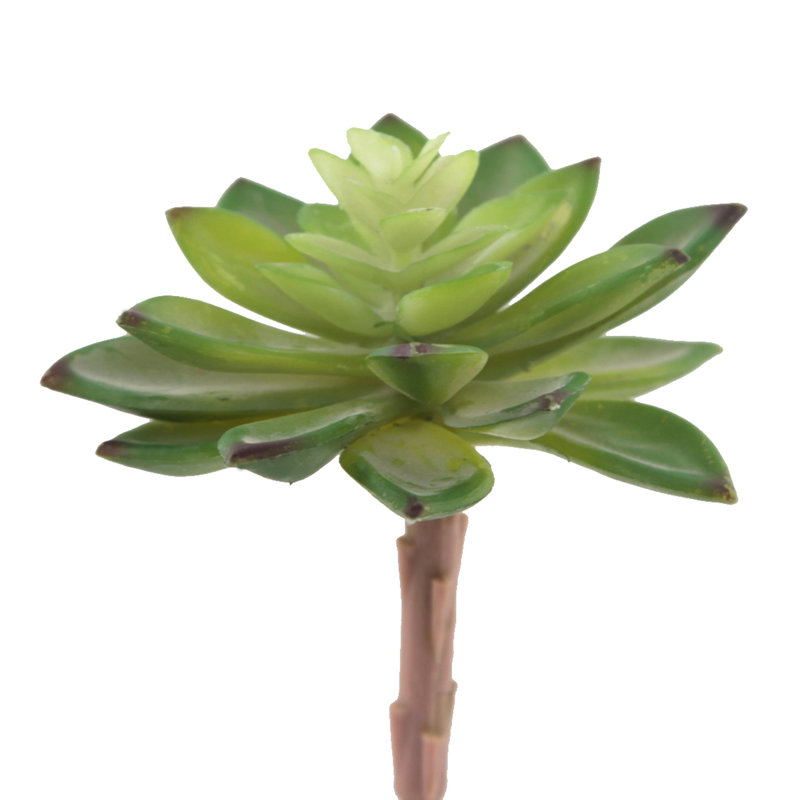 5.5 " H Faux Succulent Plant