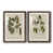 Papier, cadre noyer