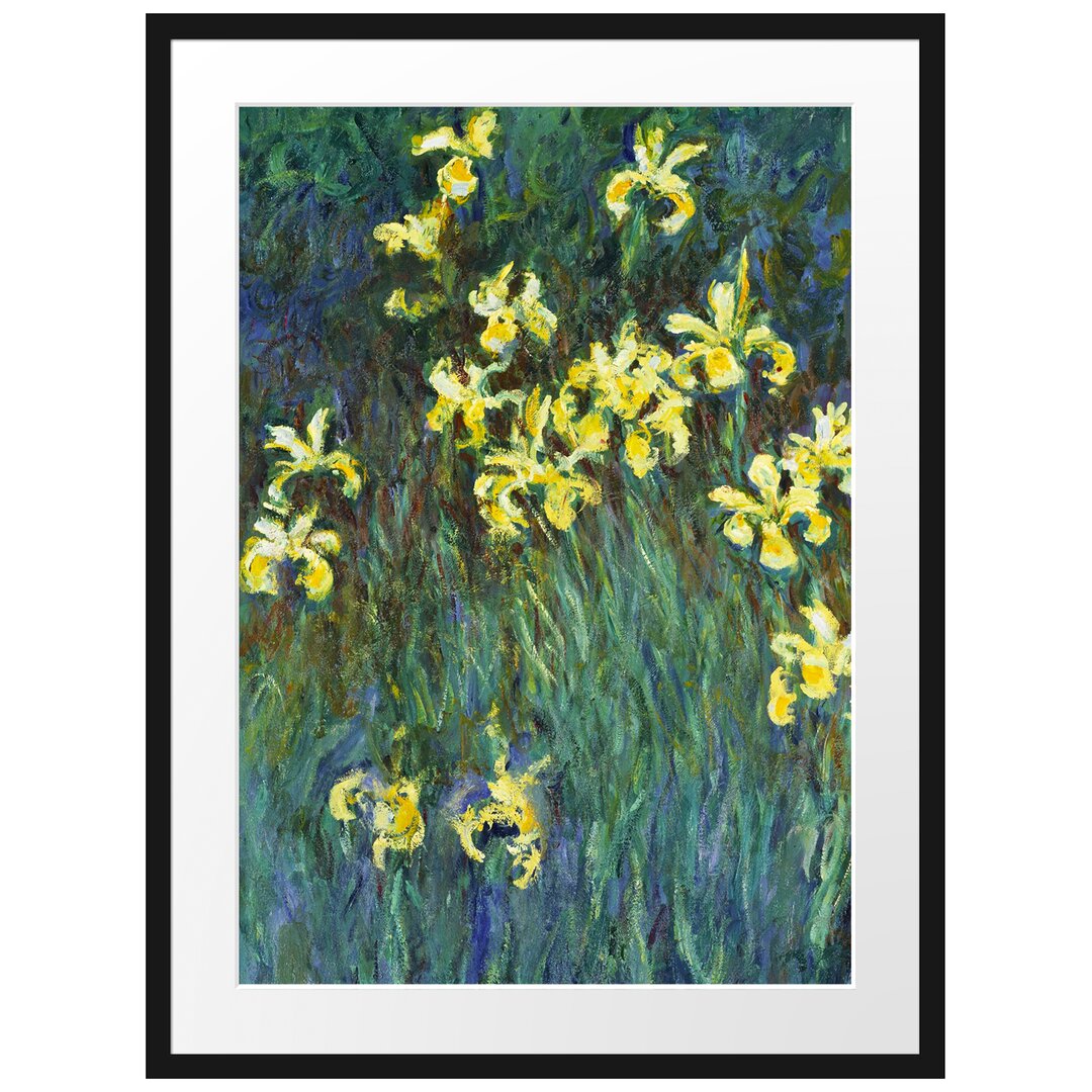 Gerahmter Kunstdruck Yellow Irises von Claude Monet