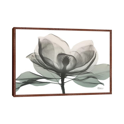 Sage Magnolia I 1 Piece Wall Art on Canvas
