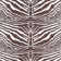 Zebra Fabric