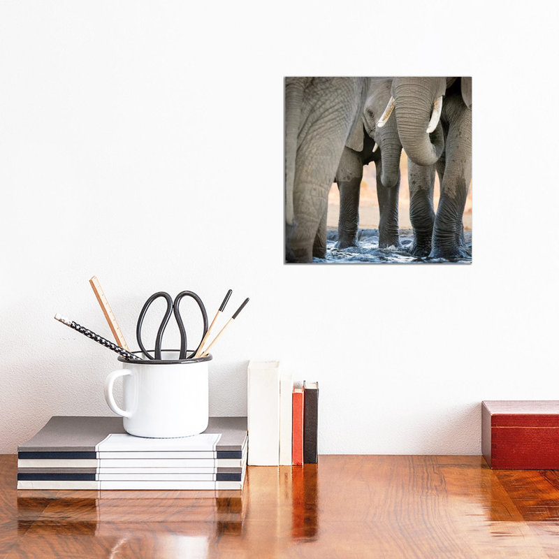 Africa, Botswana, Senyati Safari Camp. Elephant Feet And Trunk Close-Up At Waterhole by Jaynes Gallery - Wrapped Canvas Print