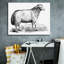«Ewe» par Art Licensing Studio, art mural sur toile-447881805