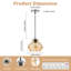 Luminaire suspendu 1 lumière Berngar-1564830431