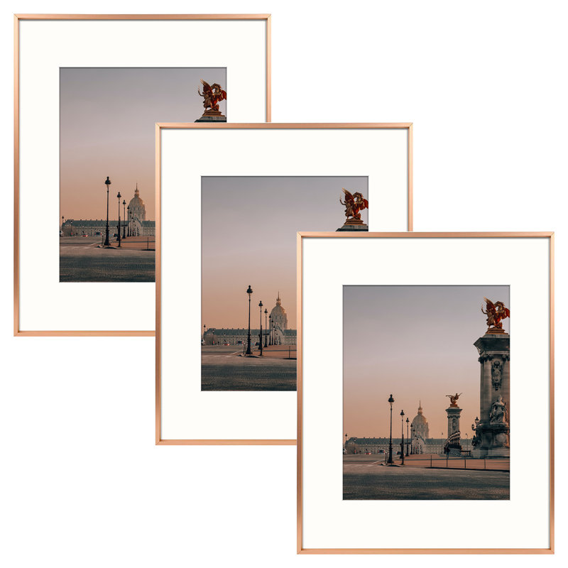 Ailpein Picture Frame, Metal Wall Gallery Frames, Photo Frames Collage for Wall Decor, Rose Gold, 8" x 10"