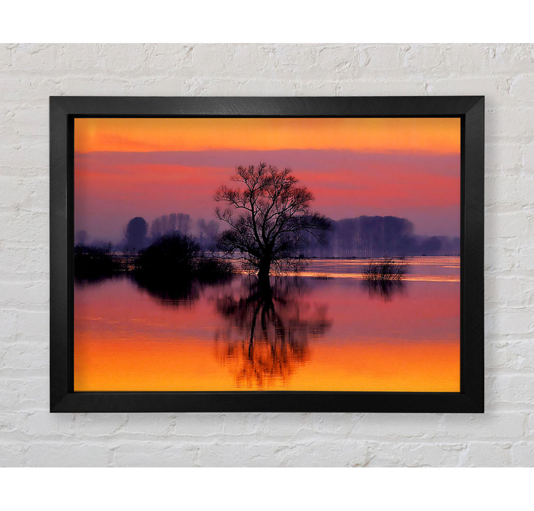 Orange Morning Reflections - Einzelne Bilderrahmen Kunstdrucke