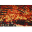 Colourful Abstract Oriental Area Rug 5x7