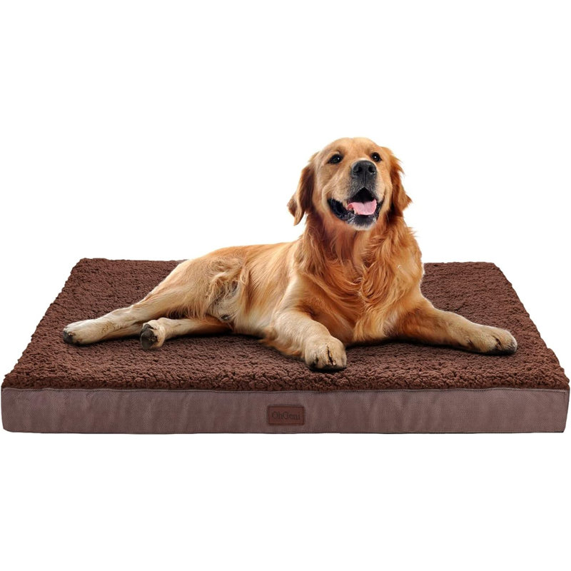 Lit orthopédique pour animaux en coton ToccoLeggero, Grand (l 27 po x P 36 po x H 3 po), Chocolat