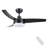 Small-CF 42'' Ceiling Fan with LED Lights-1219610645