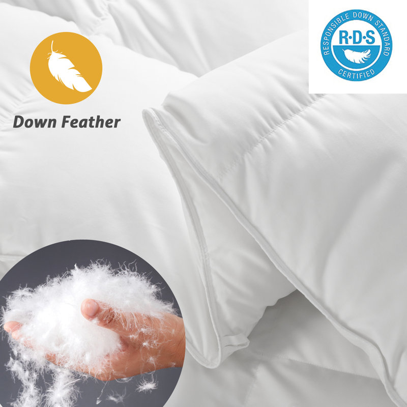 All Season Polyester Down Alternative Comforter/Duvet, Queen, White