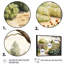 Ferme, jardin frais II - ferme, art mural-86580894-135244617