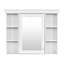 Armoire de rangement murale avec porte miroir