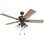 Ventilateur de plafond 52 po avec luminaire Rangins