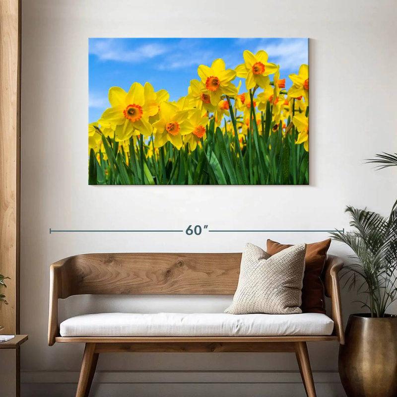 Jonquilles d'été Harnek, H 30 po x l 45 po