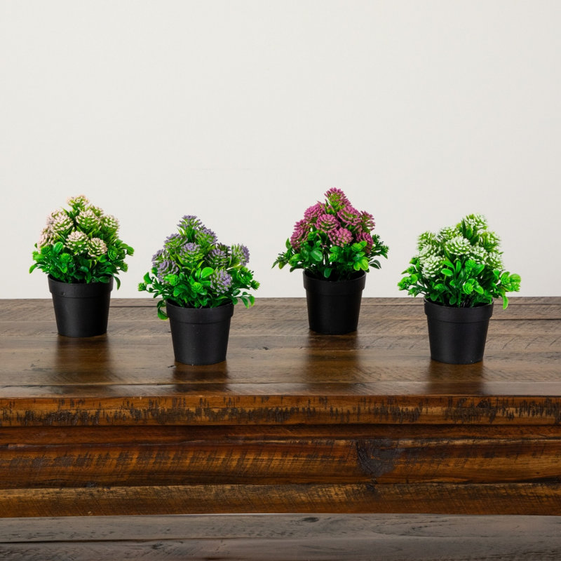 Arrangement