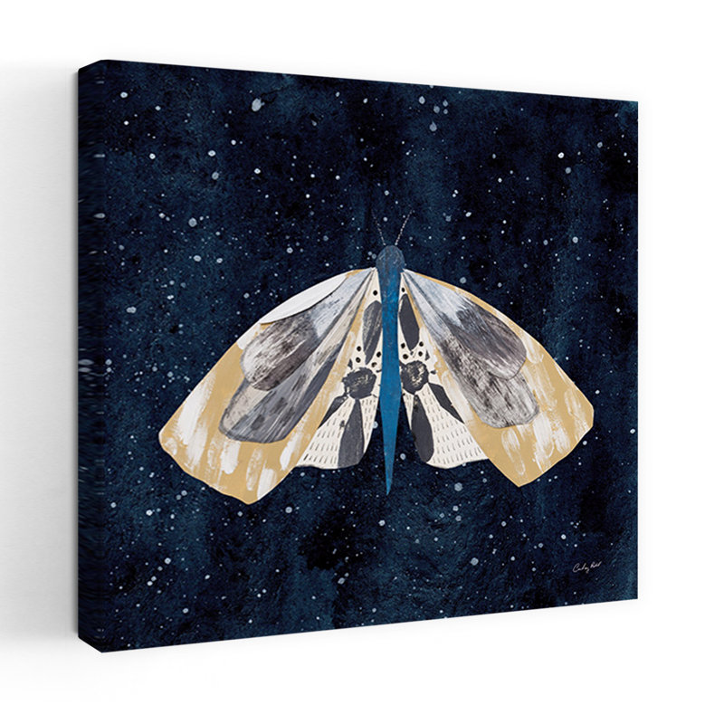 Art mural contemporain Elegant Moth III, H 48 po x l 48 po