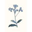 Bouquet Blue 4 Framed Print-1912970147