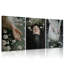 3 Piece Wrapped Canvas Print-1842772306