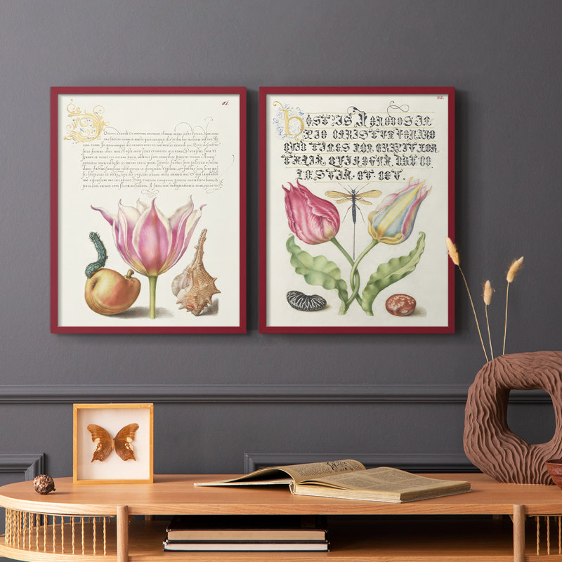 Reproduction encadrée Hoefnagel Tropical Specples IV-Premium - prête à être accrochée - aucun clou requis - aucun clou requis