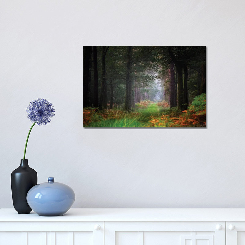 Entering the Forest 1 Piece Wrapped Canvas Wall Art, 30.48cm H x 45.72cm W x 1.905cm D