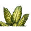 47 "plante à feuilles persistantes artificielle d'intérieur, verdure artificielle avec feuilles en pot, plancher décoratif chaud