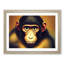 XH1022-983X A Sublime Monkey - Single Picture Frame Print-1757788690-1757788781
