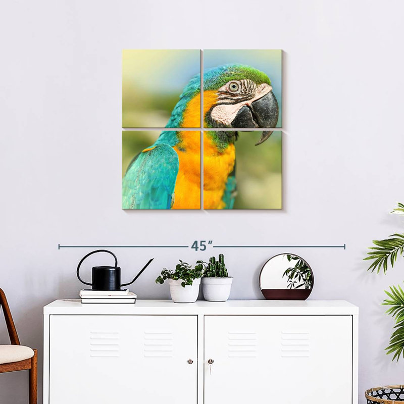 Brampt Parrot, 26" H x 26" W