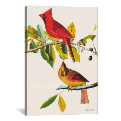 "cardinal" par john james audubon, impression sur toile