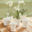 Ceramic Cachepot