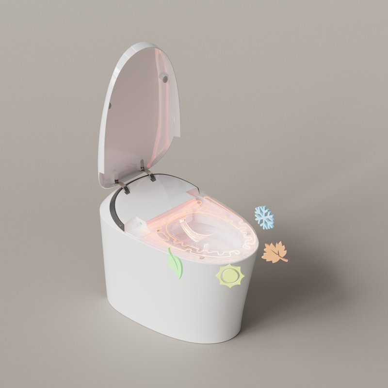 Toilette à bidet Ada Comfort