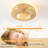Terminous 20" Ceiling Fan with Light Kit