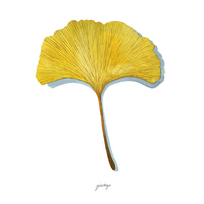 Golden Ginkgo Study I par Grace Popp