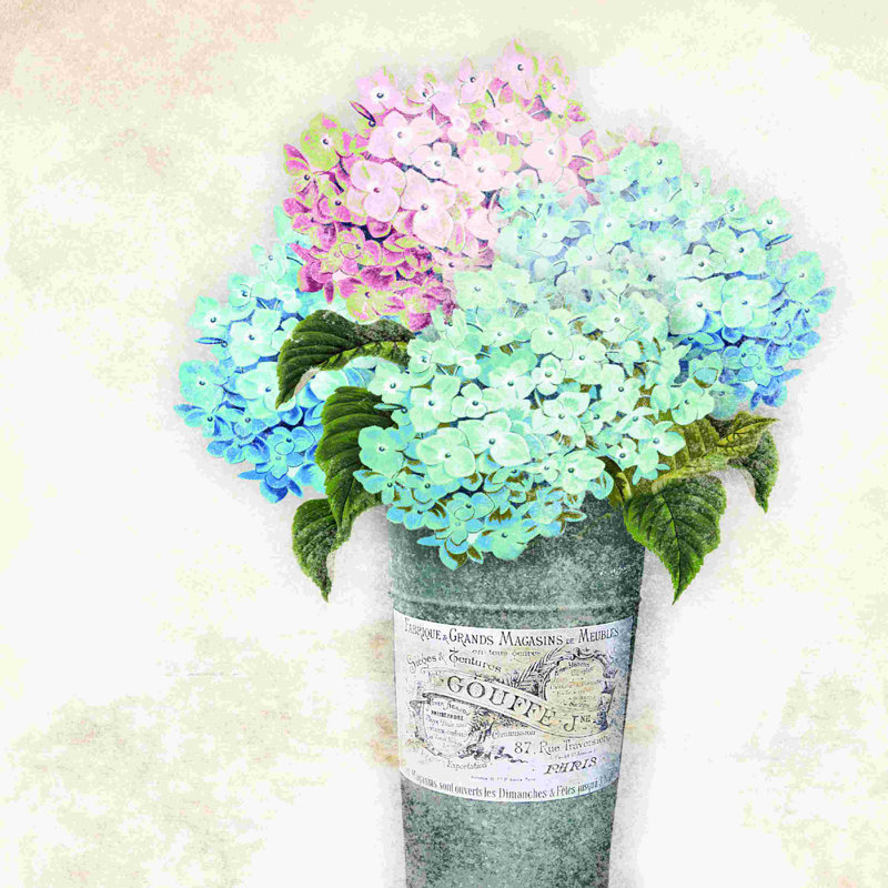 Hortensias dans un seau français, H 12 po x l 12 po