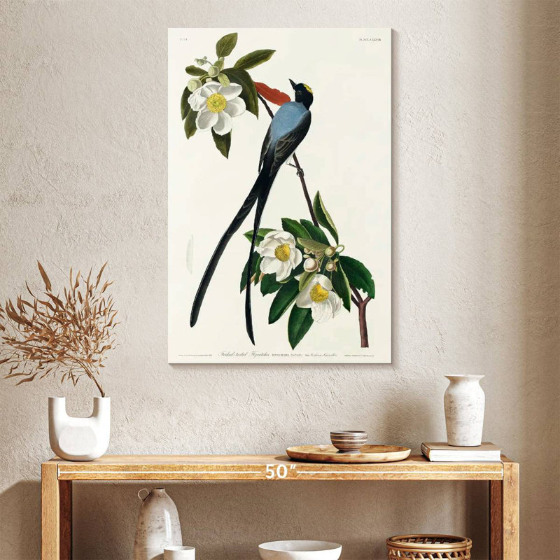 Brampt Fork-Tailed Flycatcher, 39" H x 26" W