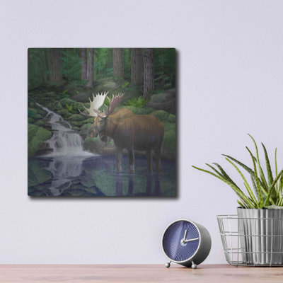 " Woodland Moose " by Chris Dobrowolski