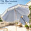 Parasol