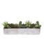 Faux Succulent in Planter