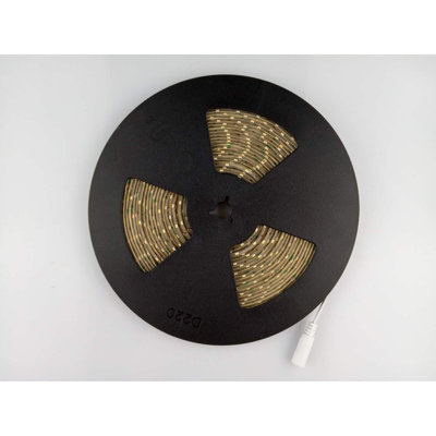 Desouza 1000 cm LED Strip Light