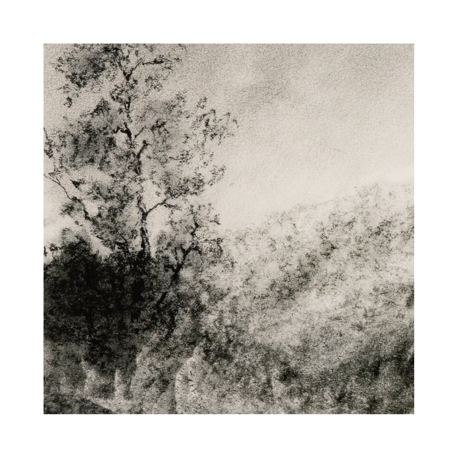 Landscape Study I by Aileen Fitzgerald