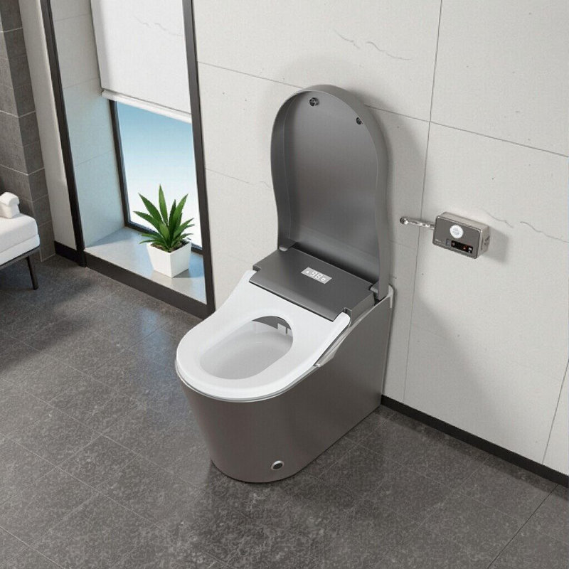 Toilette moderne et intelligente avec bidet, siège chauffant, chasse d'eau automatique et télécommande, Grey