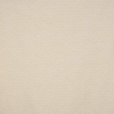 Allure Ikat Fabric