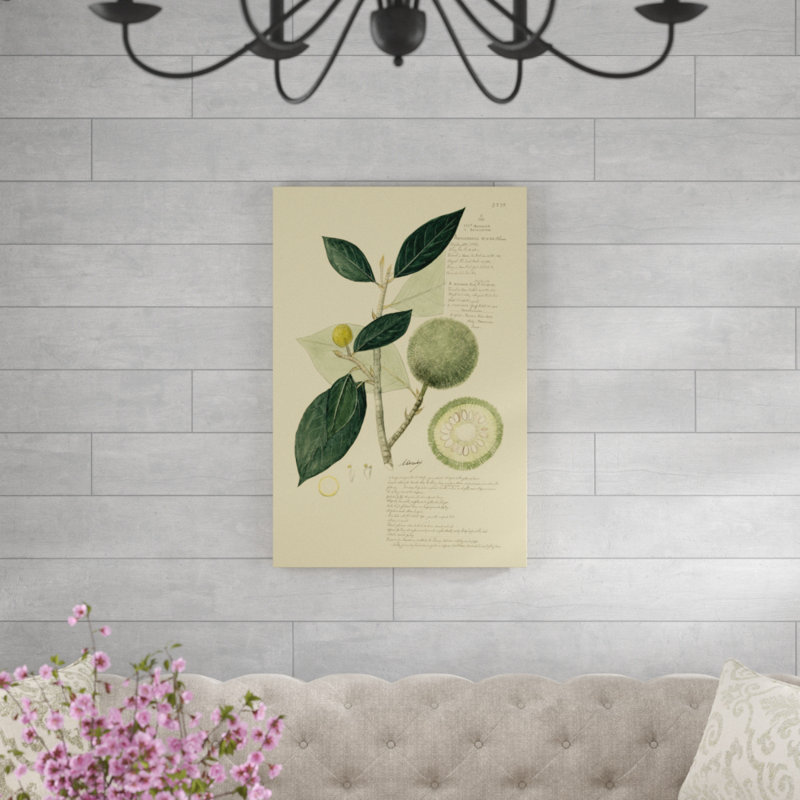 «Descubes Tropical Fruits I», peinture sur toile, H 36 po x l 24 po