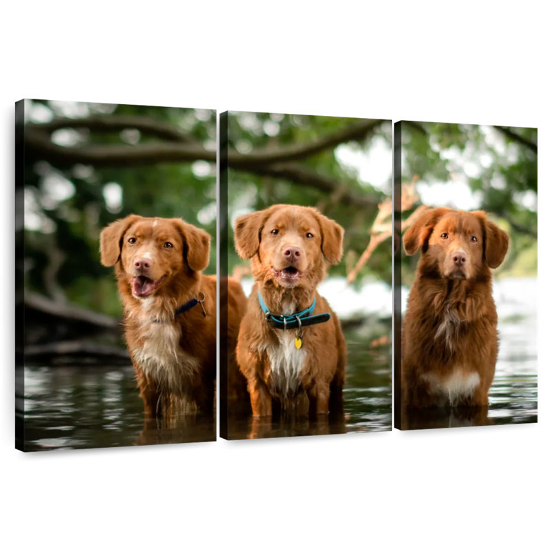 Brampt Tollers In The Water, 36" H x 57" W