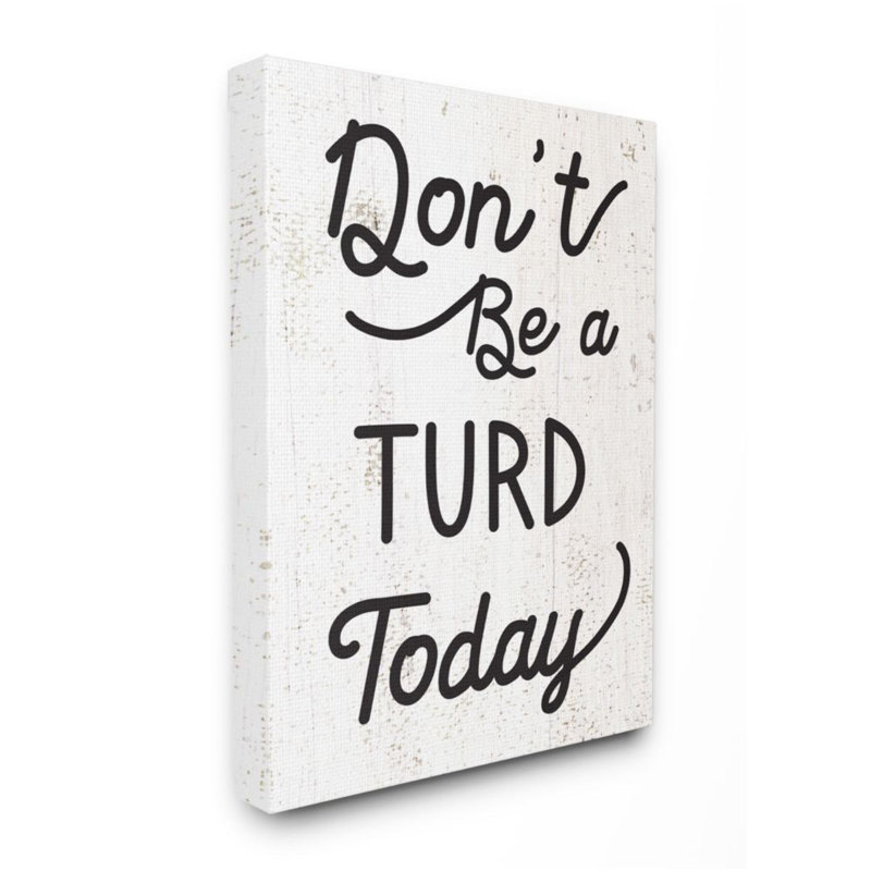 «Don't Be a Turd Expression» par Daphne Polselli - impression d'art graphique, Toile tendue, H 20 po x l 16 po x 1,5 po