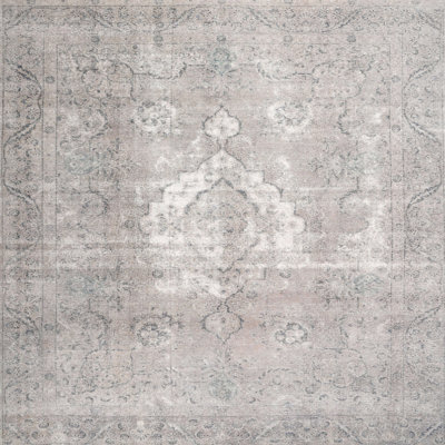 Oriental Indoor Rug